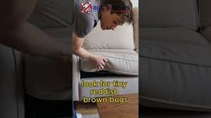 Video post by @bugbustersusa on YouTube