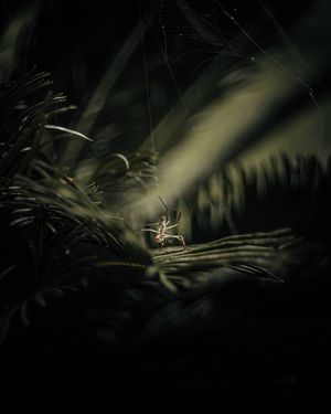 Image post by @chrisbolt on Instagram