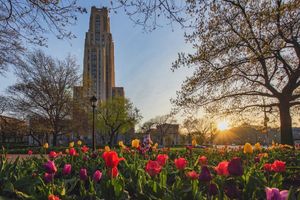 Image post by @pittadmissions on Instagram