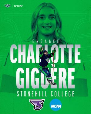 Image post by @voltigeurs_collegebourget on Instagram