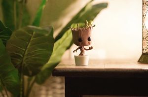 Image post by @karamgrewa1 on Instagram