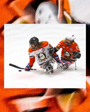 Image post by @the_rinks on Instagram