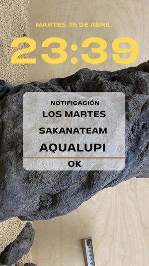 Video post by @aqualupi on Instagram