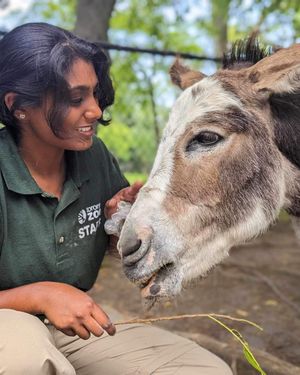 Image post by @thetorontozoo on Instagram
