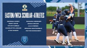 Image post by @culionssoftball on Instagram