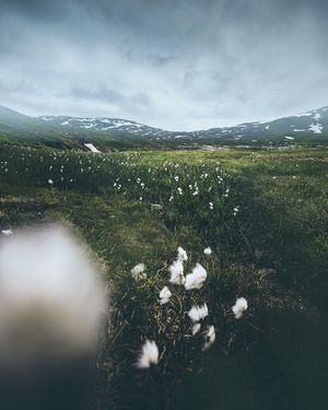 Image post by @kszczuka on Instagram