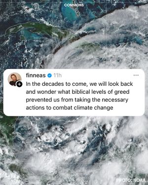 Image post by @commonsearth on Instagram