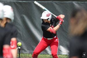 Image post by @indianasb on Instagram