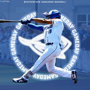 Image post by @kangaroo_baseball on Instagram