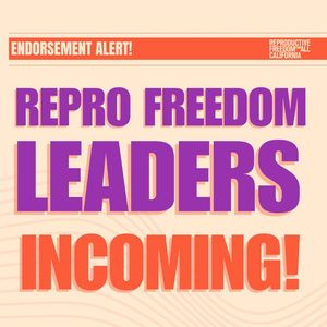 Image post by @reproforallca on Instagram