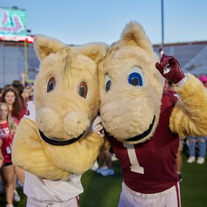 Image post by @uofoklahoma on Instagram
