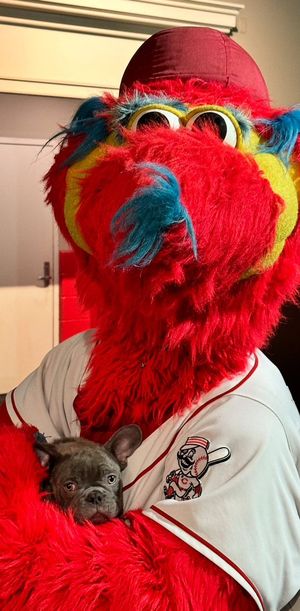 Image post by @HunterGreene17 on Twitter