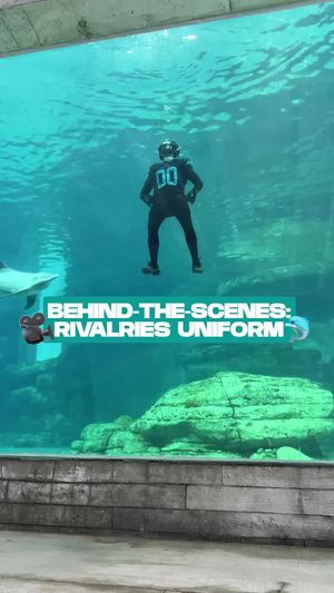 Video post by @miamidolphins on TikTok