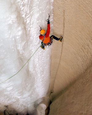 Image post by @biohub on Instagram