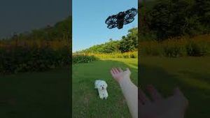 Video post by @dji on YouTube