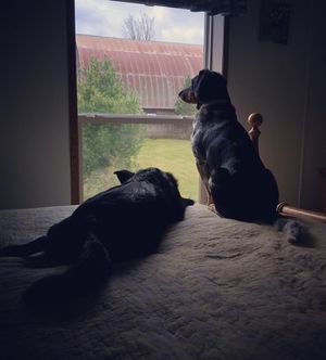 Image post by @bwstratt on Instagram