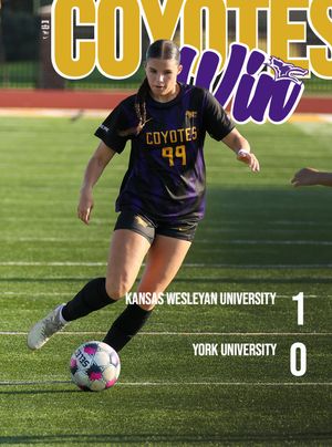 Image post by @kwucoyotes on Instagram