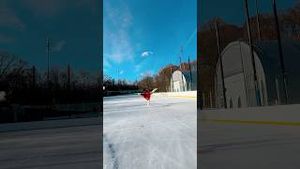Video post by @lainedubin on YouTube