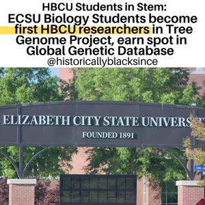 Image post by @historicallyblacksince on Instagram