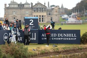 Image post by @adriensaddier on Instagram