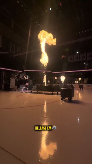 Video post by @chiwolves on TikTok