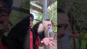 Video post by @luissantanaphoto on YouTube