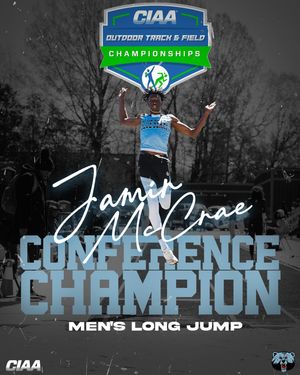 Image post by @bluebearathletics on Instagram