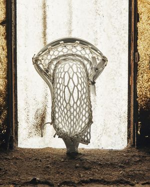 Image post by @warriorlax on Instagram