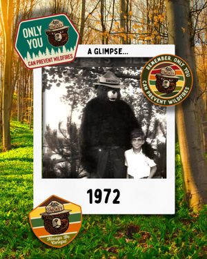 Image post by @smokeybear on Instagram