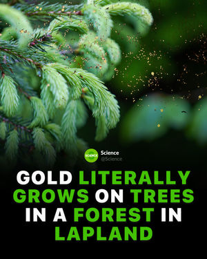 Image post by @science on Instagram