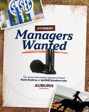 Image post by @auburnequestrian on Instagram