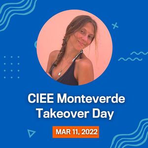 Image post by @cieestudyabroad on Instagram