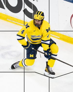 Image post by @umichhockey on Instagram