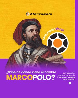 Image post by @marcopolosuperpolocol on Instagram