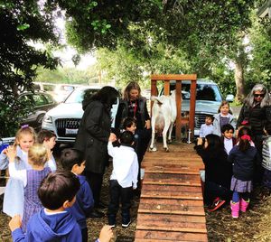 Image post by @shsatherton on Instagram