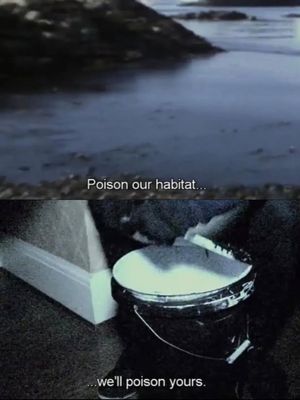 Image post by @_nature__pilled on Instagram