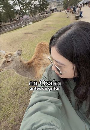 Video post by @ohayolily on TikTok