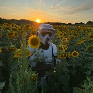 Image post by @official501st on Instagram