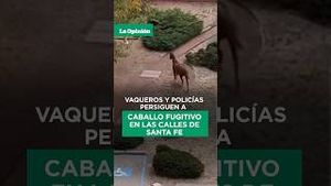 Video post by @laopinionla on YouTube