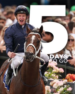 Image post by @flemingtonvrc on Instagram