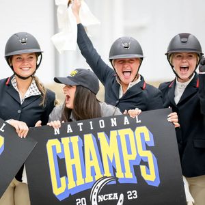 Image post by @usequestrian on Instagram