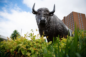 Image post by @marshallu on Instagram