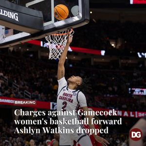 Image post by @dailygamecock on Instagram