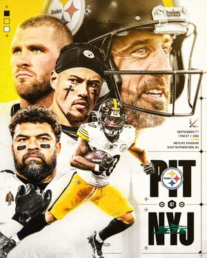Image post by @steelers on Instagram