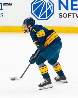 Image post by @merrimack_mih on Instagram