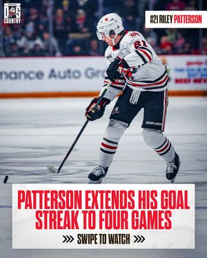 Image post by @ohlicedogs on Instagram