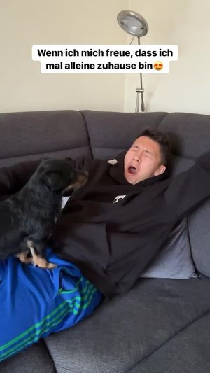 Video post by @toggo on TikTok