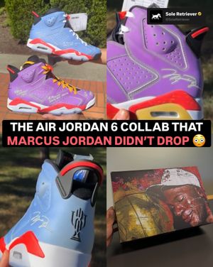 Image post by @soleretriever on Instagram
