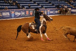 Image post by @teamropingjourn on Instagram