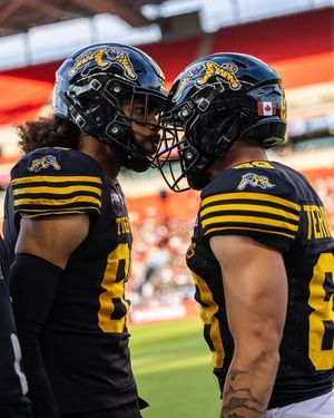 Image post by @hamiltontigercats on Instagram